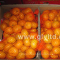 New Crop Chinese Fresh and Good Quality Mandarin Orange